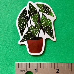 10/$10 Plant Aesthetic Vinyl Sticker -Waterproof Water Bottle Laptop Scrapbook